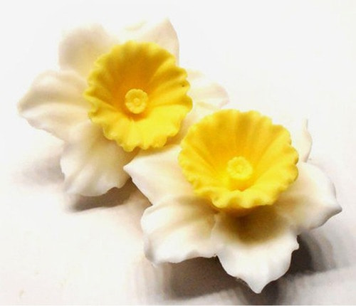 3D Daffodil mold